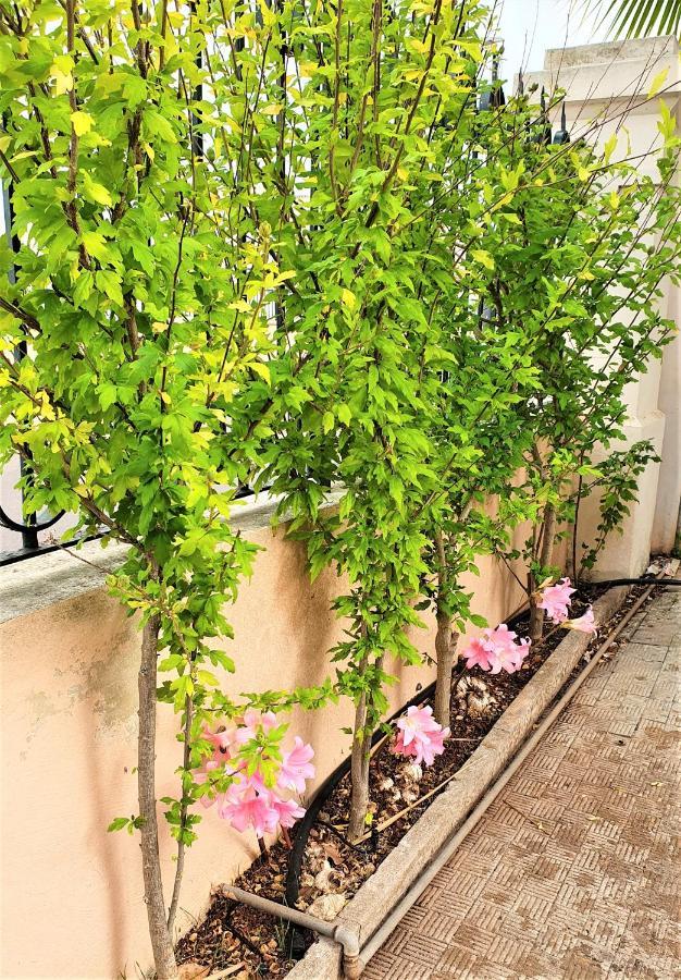 Villa Nel Salento - Ampie Camere E Giardino, Fino A 9 Persone Barbarano del Capo ภายนอก รูปภาพ